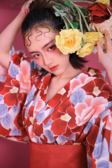 征服神奇女侠txt宝书网